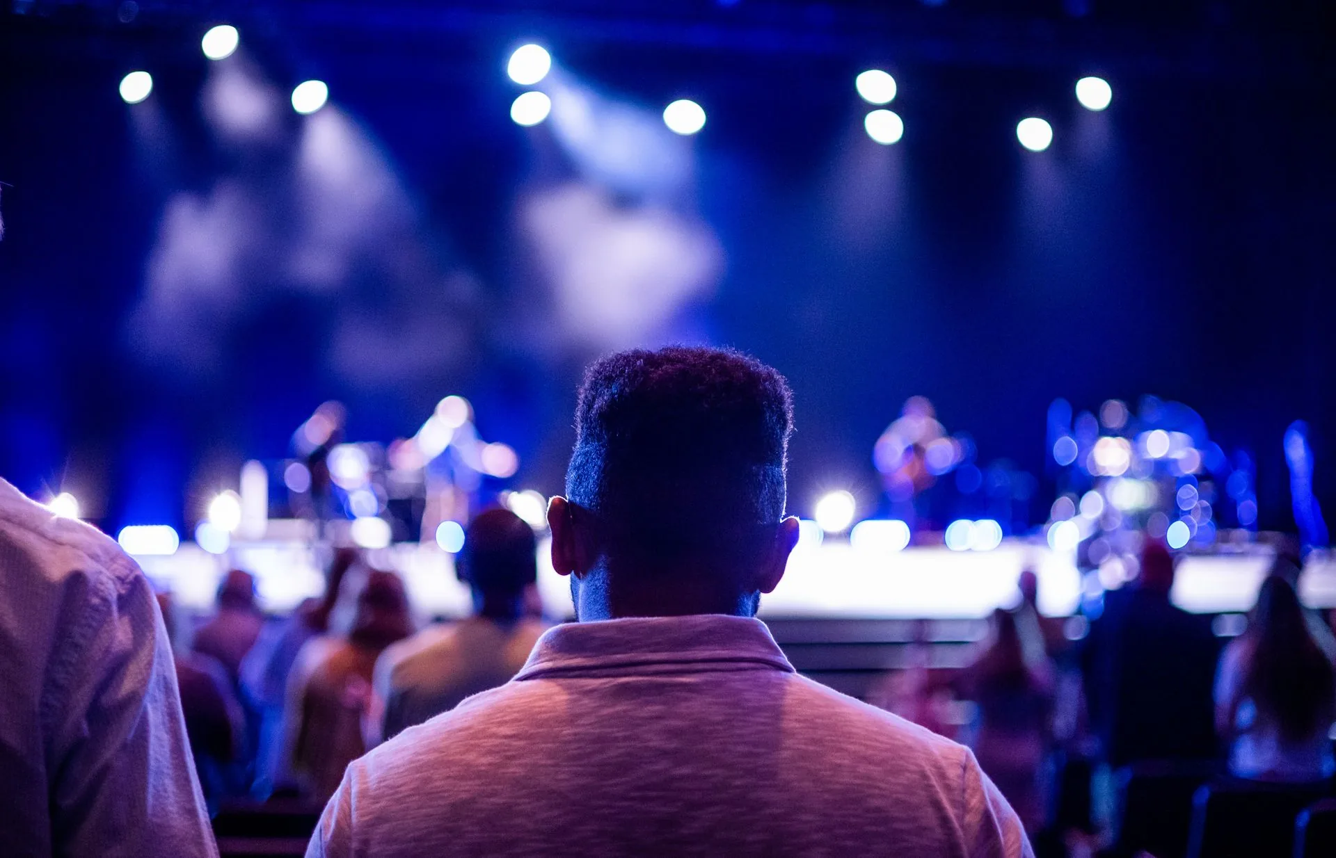 The crowd, seen from behind, facing the stage